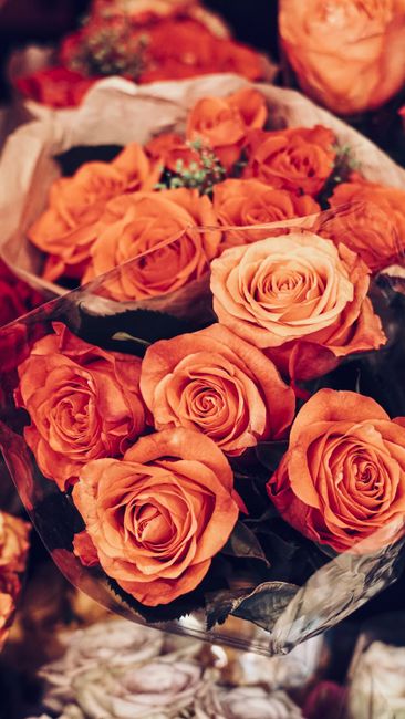A close-up image of a bouquet of fresh roses in shades of peach and soft orange, arranged with lush petals and green foliage. The roses are wrapped in clear plastic with black paper accents and positi